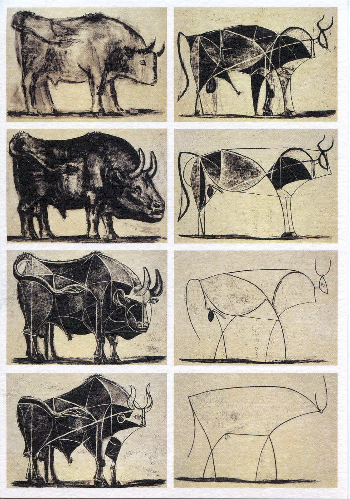 Picasso's Bull